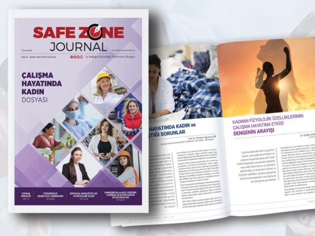 Safe Zone Journal: Dergi mezarlığına gömülecek yeni bir girişim mi?